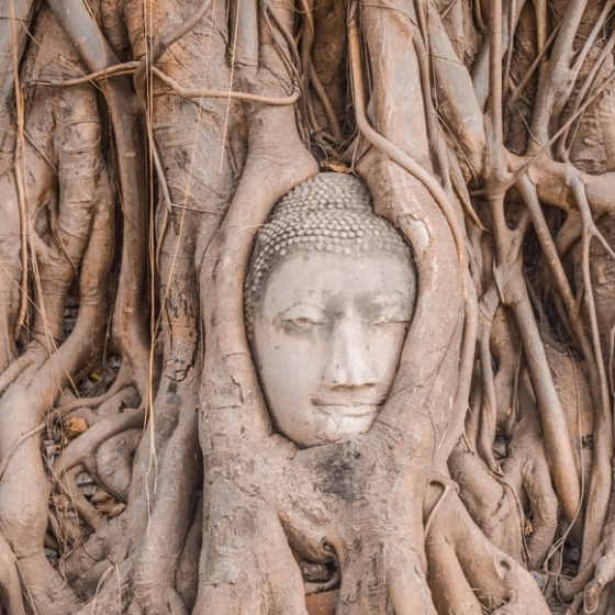 世界遺産アユタヤ_ワットマハタート